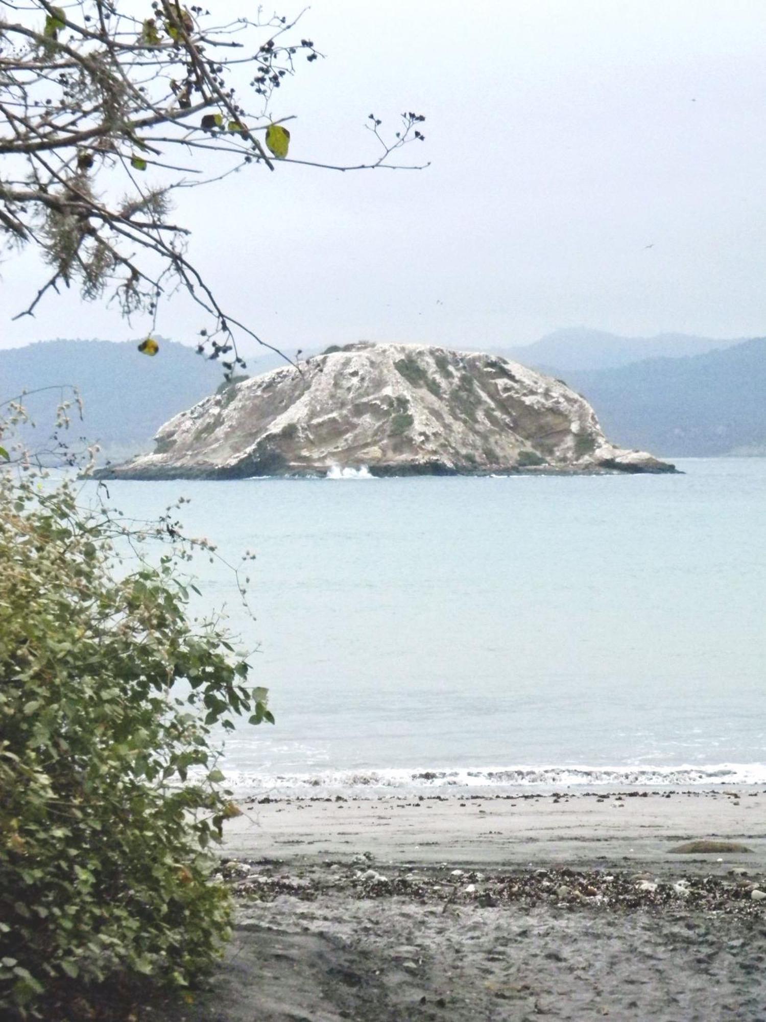 Hospedaje Algarrobo Machalilla Eksteriør bilde