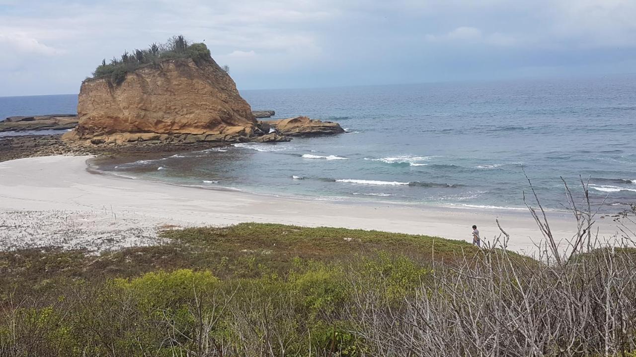 Hospedaje Algarrobo Machalilla Eksteriør bilde